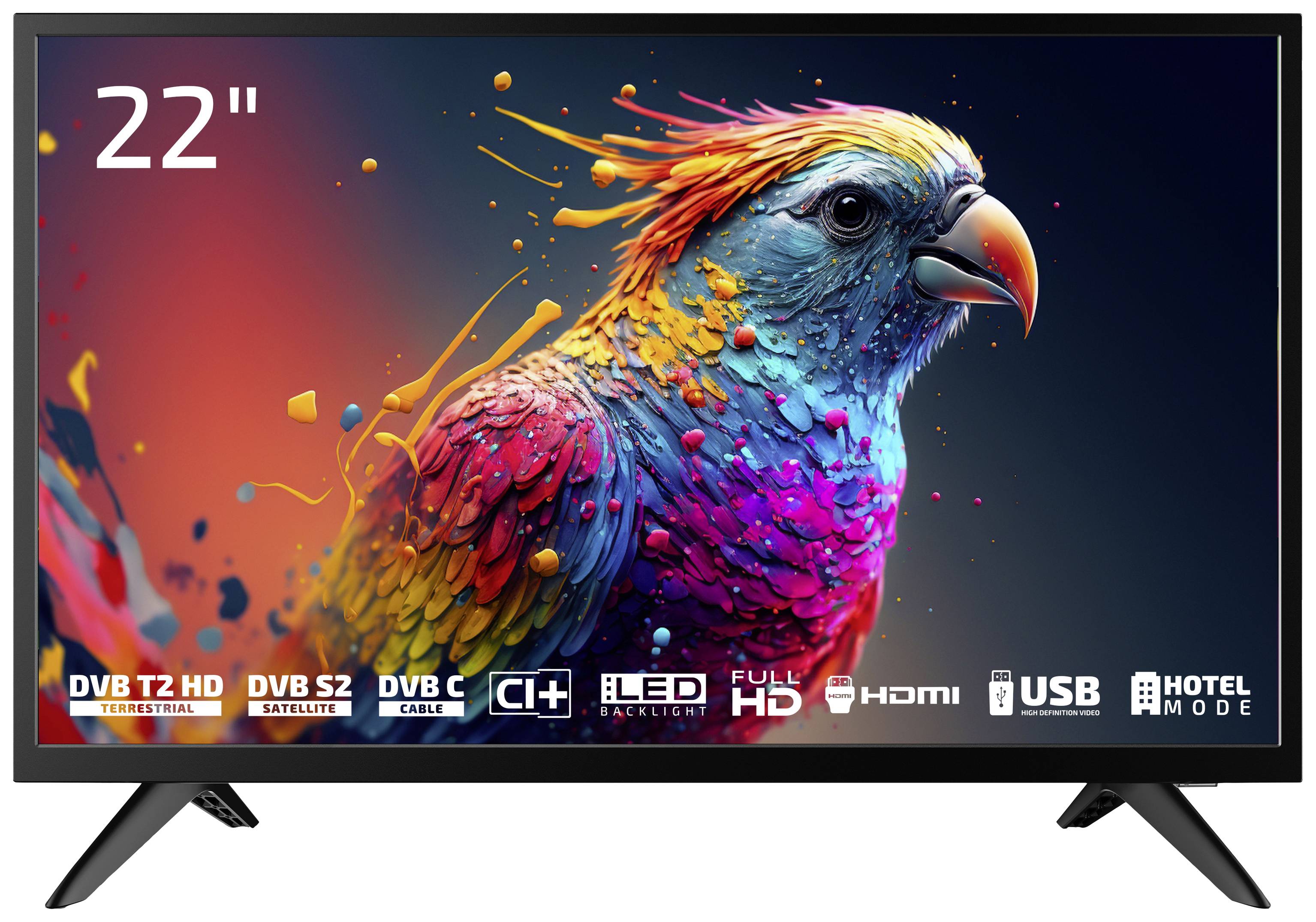 Dyon Enter 22 Pro X2 LED-TV 55 cm 22 Zoll EEK E (A - G) CI+