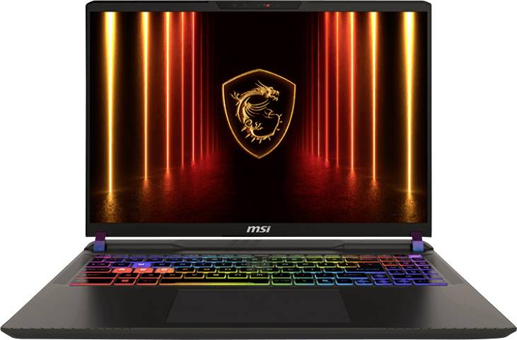 MSI Notebook Vector 16 HX AI A2XWHG-476 40.6 cm (16 Zoll) QHD+ Intel® Core™ Ultra 9 275HX 16 GB RAM 1 TB SSD Deutsch