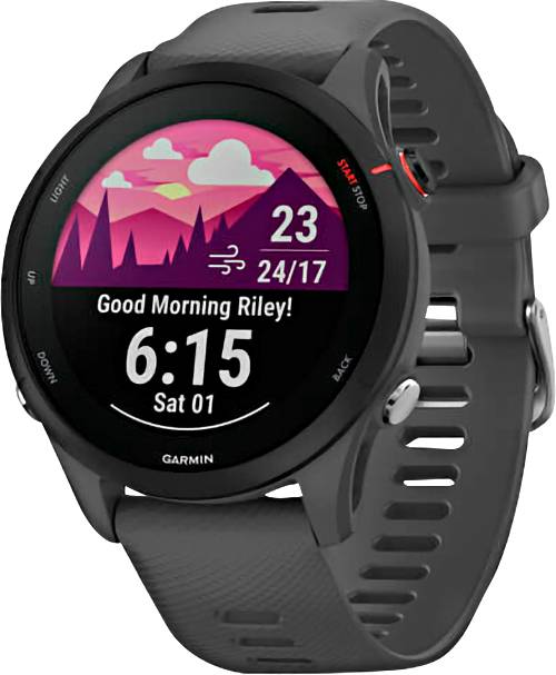 Garmin Forerunner® 255 Smartwatch 46 mm Schiefer-Grau - Chipgalaxy Garmin Forerunner® 255 Smartwatch 46 mm Schiefer-Grau